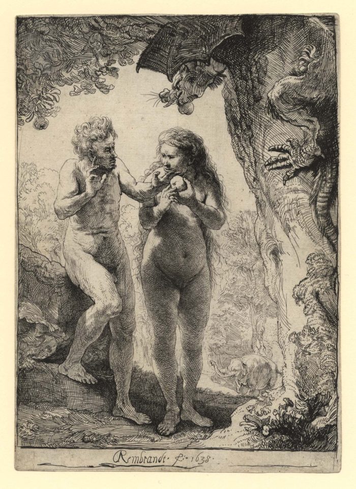 rembrandtadamandeve rembrandtadamandeve